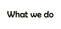 What we do